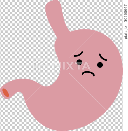 胃 胃袋 臓器 人体 ヘルスケア かわいい イラスト 胃 胃袋 臓器 人体 ヘルスケア かわいい イラスト 50560647