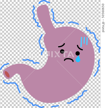 胃　胃袋　臓器　人体　ヘルスケア　かわいい　イラスト 50560650