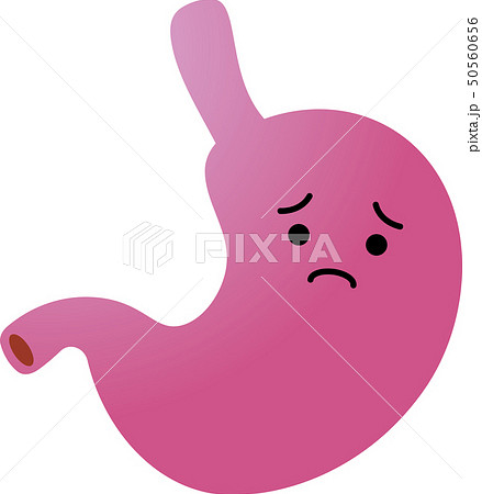 胃 胃袋 臓器 人体 ヘルスケア かわいい イラストのイラスト素材
