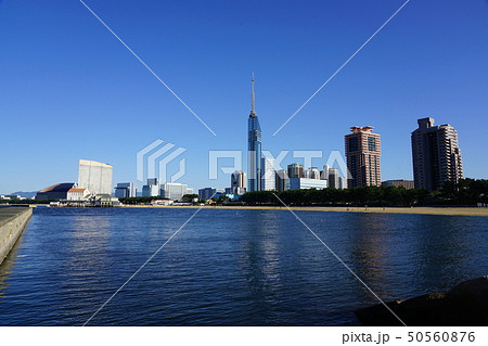 福岡シーサイドももち風景　マリゾン 50560876