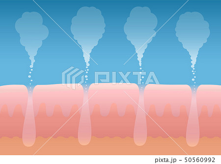 Skin Breathing Human Cutaneous Respiration 50560992