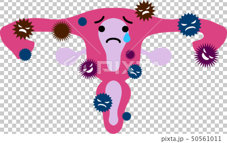 子宮 胎盤 人体 臓器 イラスト かわいい ヘルスケア 子宮 胎盤 人体 臓器 イラスト かわいい ヘルスケア 50561011