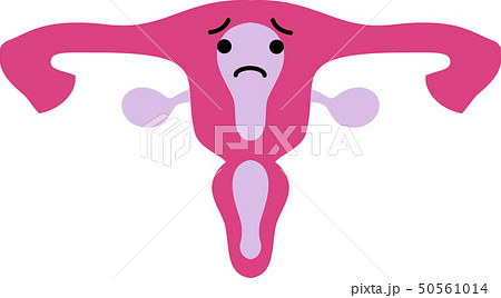 子宮 胎盤 人体 臓器 イラスト かわいい ヘルスケアのイラスト素材