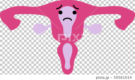 子宮　胎盤　人体　臓器　イラスト　かわいい　ヘルスケア 50561014