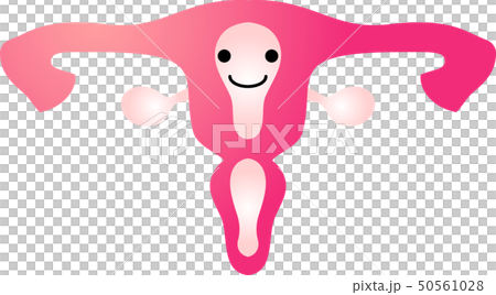 子宮　胎盤　人体　臓器　イラスト　かわいい　ヘルスケア 50561028