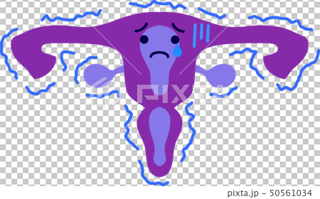 子宮　胎盤　人体　臓器　イラスト　かわいい　ヘルスケア 50561034