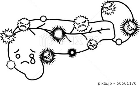 膵臓 脾臓 十二指腸 ヘルスケア 人体 臓器 イラストのイラスト素材