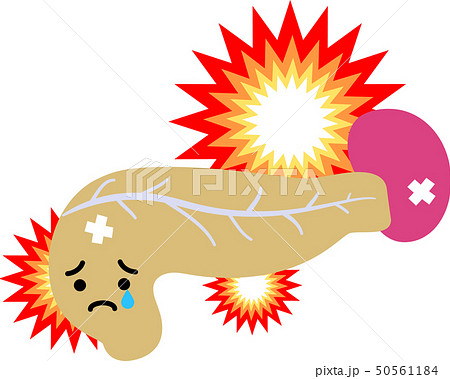 膵臓 脾臓 十二指腸 ヘルスケア 人体 臓器 イラストのイラスト素材