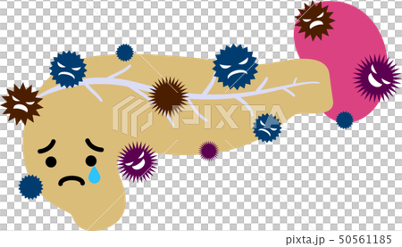膵臓 脾臓 十二指腸 ヘルスケア 人体 臓器 イラストのイラスト素材