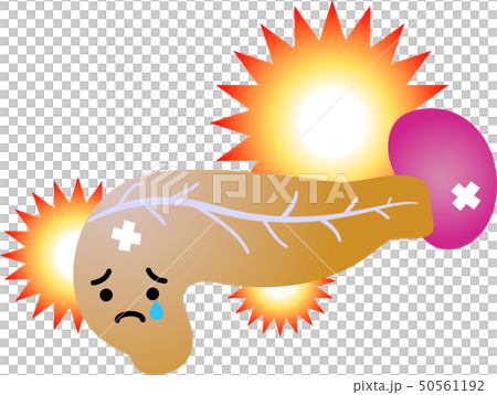 Pancreas Spleen Duodenal Health Care Human Body Organ Illustration 50561192