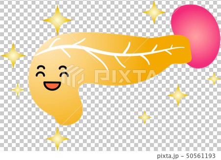 胰腺脾十二指腸醫療保健人體器官例證 50561193