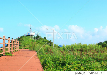 風景 観光 風 50561348