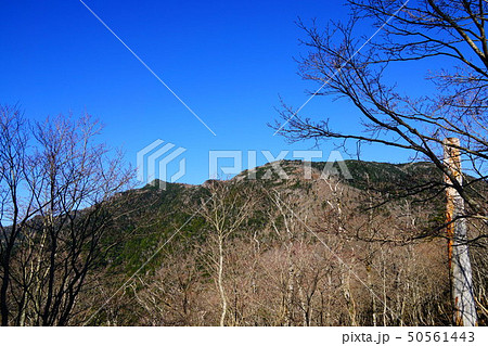 登山道からの弥山と八経ヶ岳　 50561443