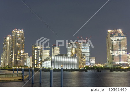 東京豊洲の夜景 東京豊洲の夜景 50561449