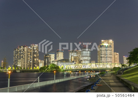 東京豊洲の夜景 東京豊洲の夜景 50561464