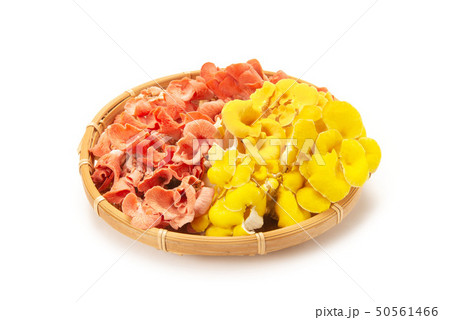 タモギタケとトキイロヒラタケ 50561466