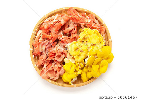 食用キノコのタモギタケとトキイロヒラタケ 50561467