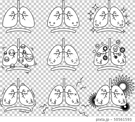 肺 呼吸器 ヘルスケア 人体 かわいい イラストのイラスト素材