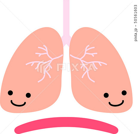 肺 呼吸器 ヘルスケア 人体 かわいい イラストのイラスト素材