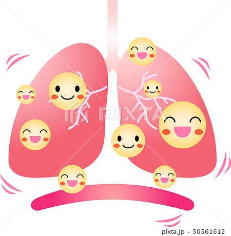 肺 呼吸器 ヘルスケア 人体 かわいい イラストのイラスト素材