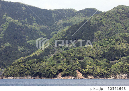 惠良岬展望台（福井県 高浜町） 50561648