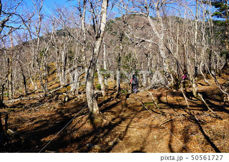 大峰山脈　弥山への登山道　 50561727