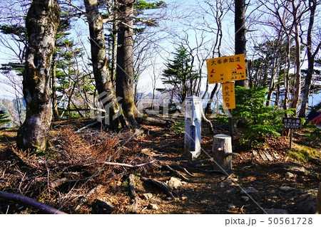 大峰山脈　弥山　弁天の森　 50561728