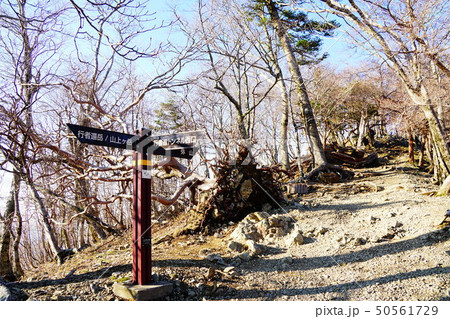 大峰山脈　弥山への登山道　奥駆出合 50561729