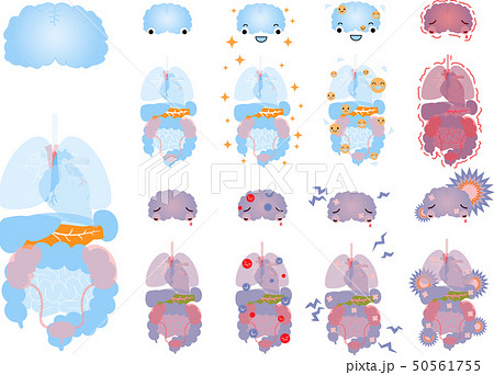 脳 心臓 肺 胃 脾臓 膵臓 肝臓 腎臓 膀胱 大腸 小腸 全身 ヘルスケア イラストのイラスト素材