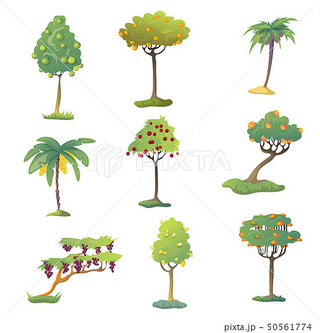 Set of fruit trees with fruits. Vector illustration on white background. 50561774