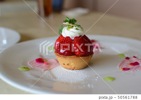 いちごのタルト いちごのタルト 50561788