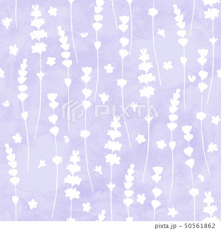 Lavender flowers white silhouettes seamless Lavender flowers white silhouettes seamless 50561862