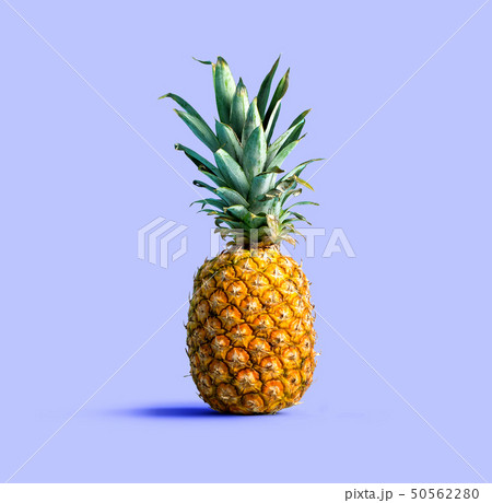 Pineapple on solid color background Pineapple on solid color background 50562280
