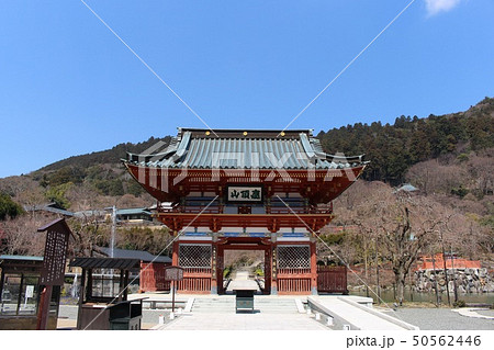 勝尾寺 50562446