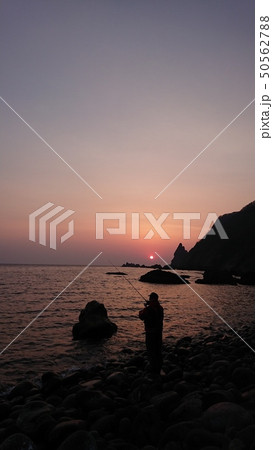 大物頼む 50562788