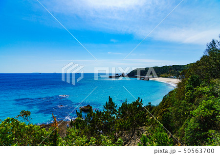 [静岡県] 南伊豆の自然　田牛　海水浴場 50563700