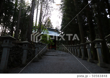 秩父三峯神社随身門と石灯籠 50563848