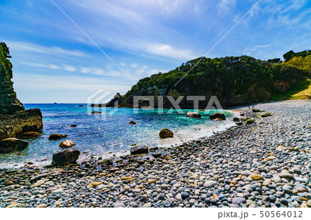 [静岡県] 南伊豆の自然　田牛 50564012