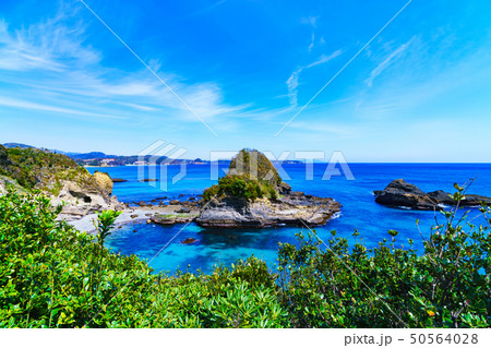 [静岡県] 南伊豆の自然　田牛 50564028