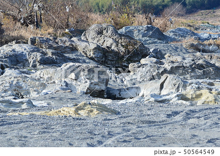 川原の岩石（荒川中流域／埼玉県深谷市） 50564549