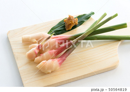 谷中生姜 谷中生姜 50564819