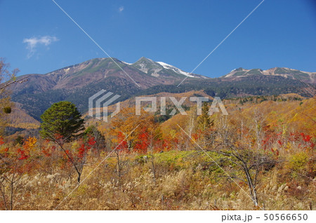 秋の乗鞍高原 50566650