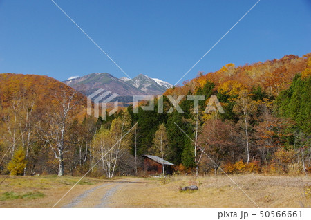 秋の乗鞍高原 50566661