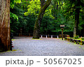 森の風景 50567025