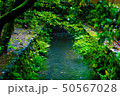森の小川 50567028