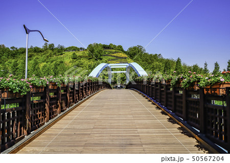 歩道橋 建築 植木鉢 50567204