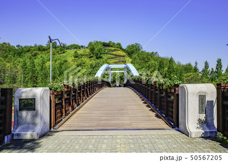歩道橋 建築 植木鉢 50567205