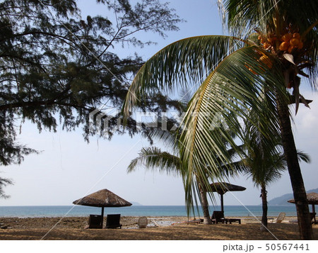 マレーシアの離島、南の島のビーチにて 50567441