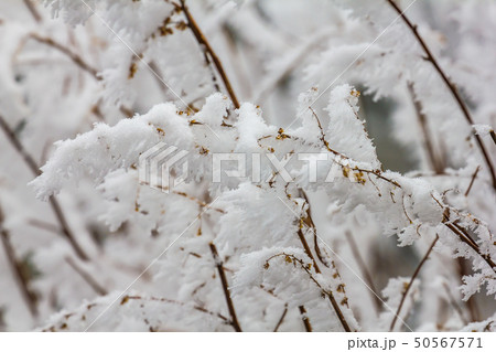 Frozen Winter Landscape in sichuan,China. Frozen Winter Landscape in sichuan,China. 50567571