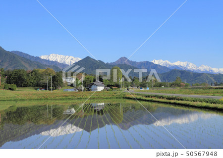 安曇野松川の5月 50567948